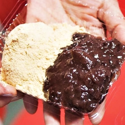 Mochi with Anko and Kinako